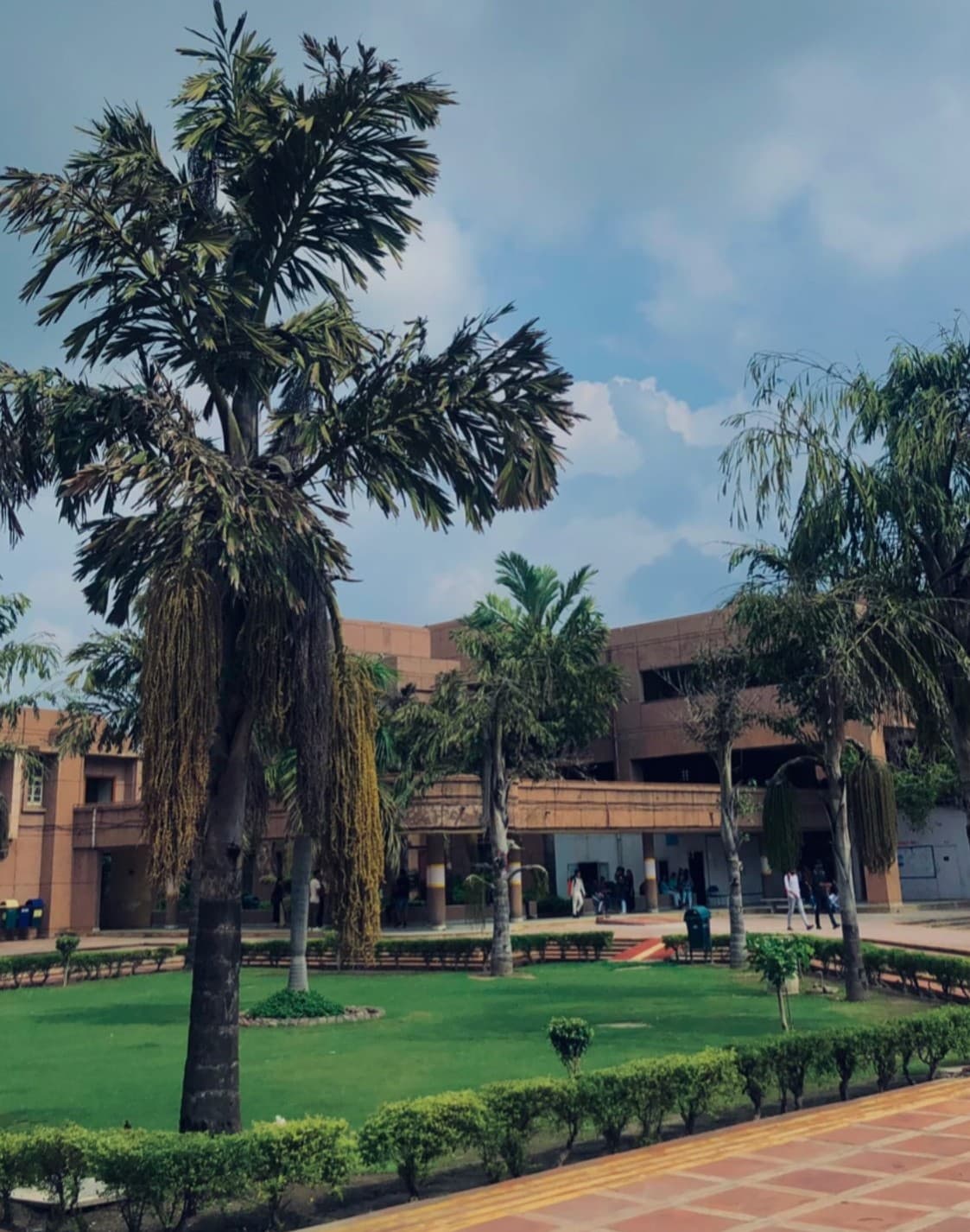 Dr. Bhim Rao Ambedkar College Campus photo 2